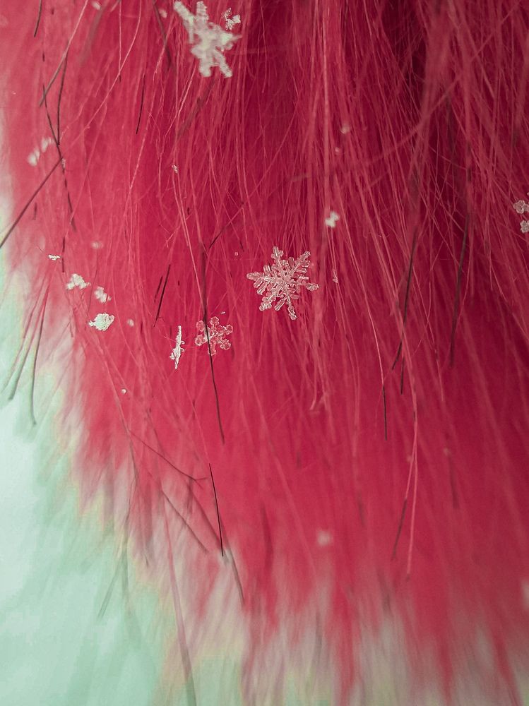 Photograph by Наташа Черепенина