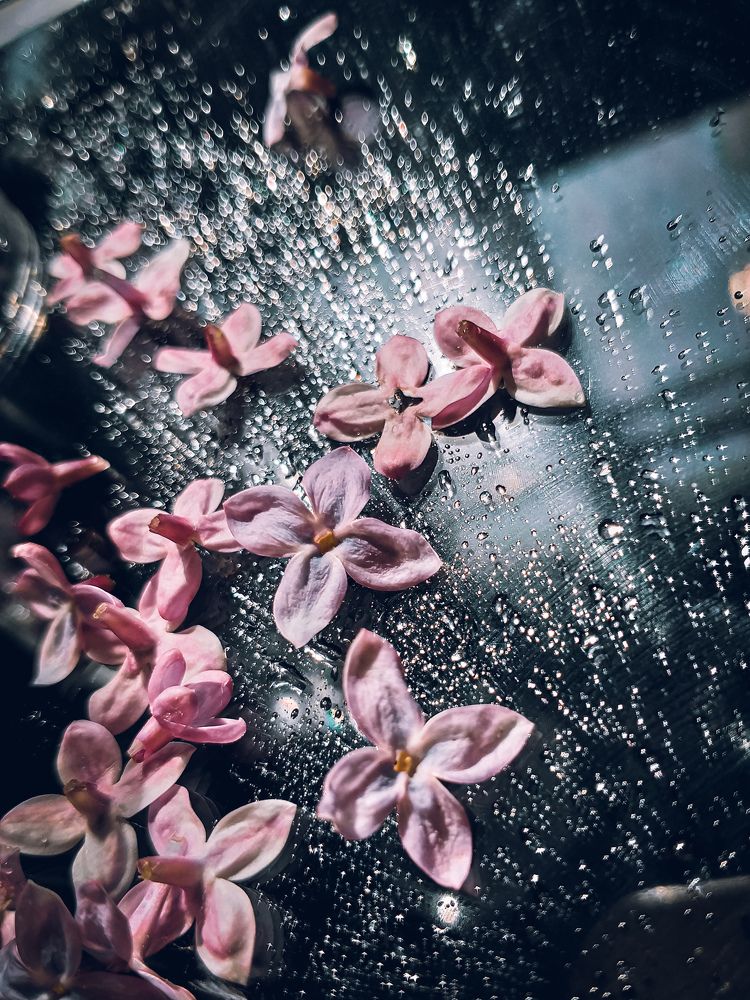 Photograph by Наташа Черепенина