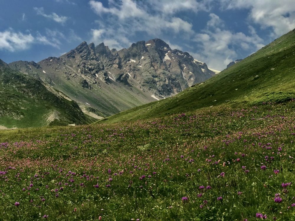 Photograph by Juli-sunny