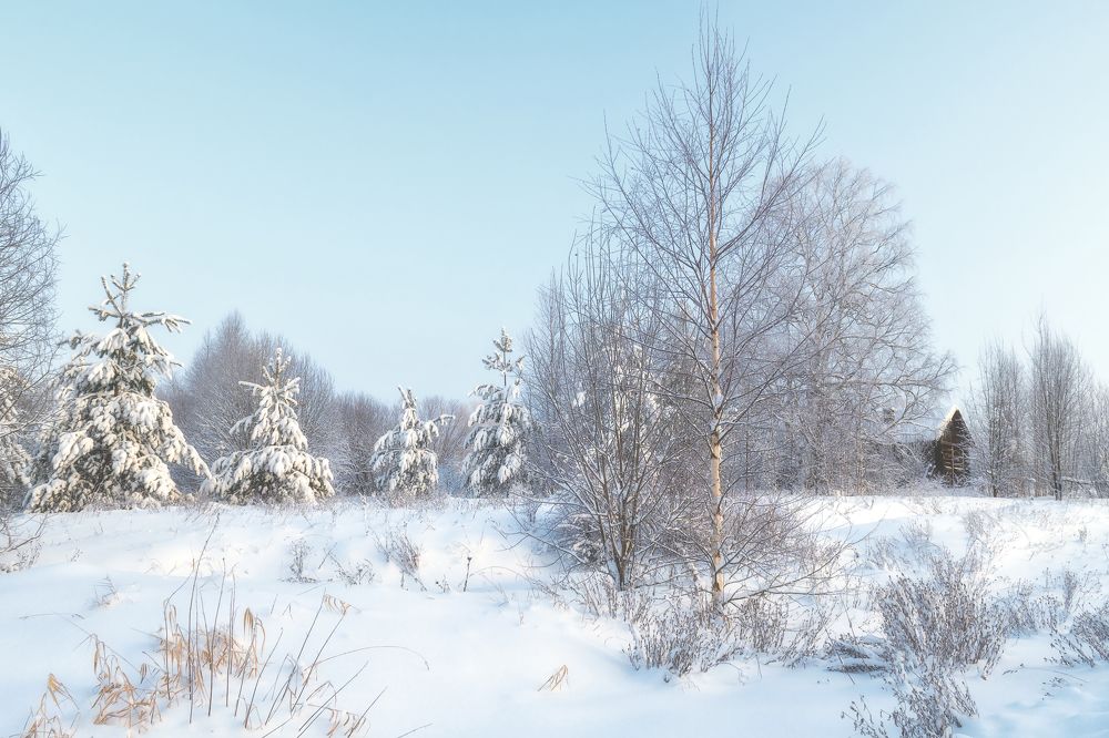 Photograph by Светлана Ващенко