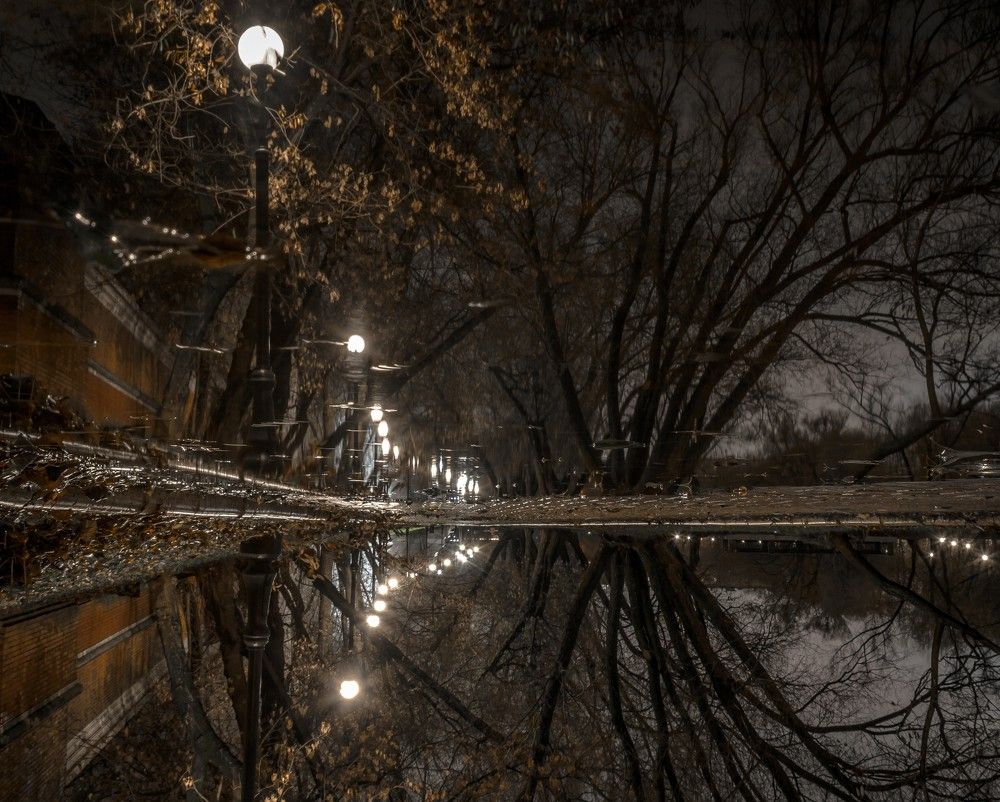 Парк, лужа и фонарь в отражении