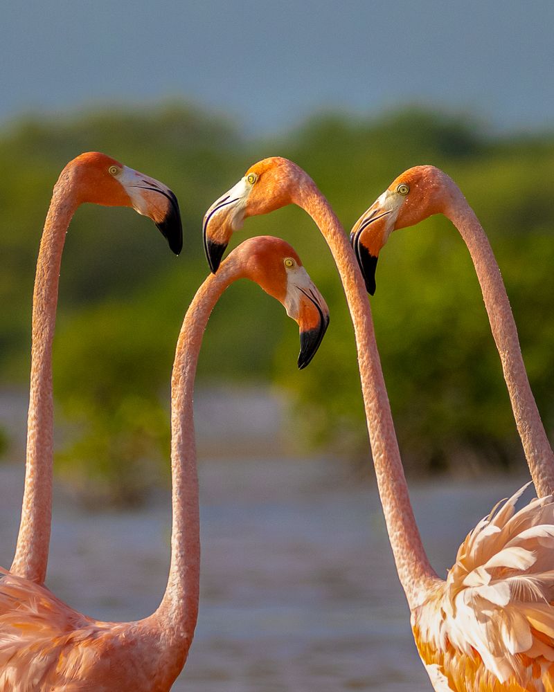 Photograph by Maria Gabriela Rocha Gomez