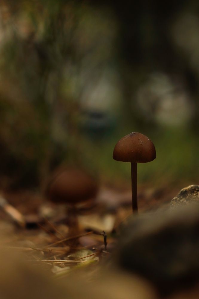 Photograph by Torres