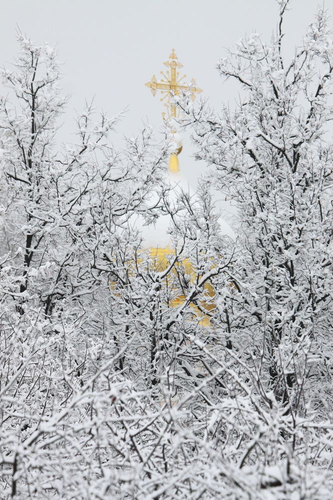 Photograph by Сергей Ножнин