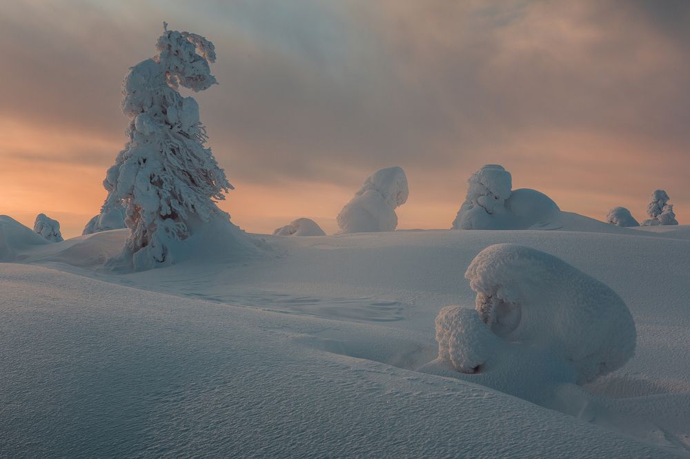 Фотография автора Алексей Новиков