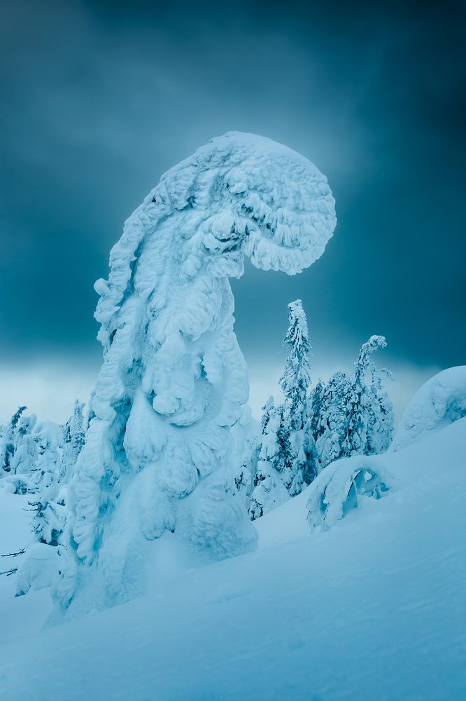 Фотография автора Алексей Новиков