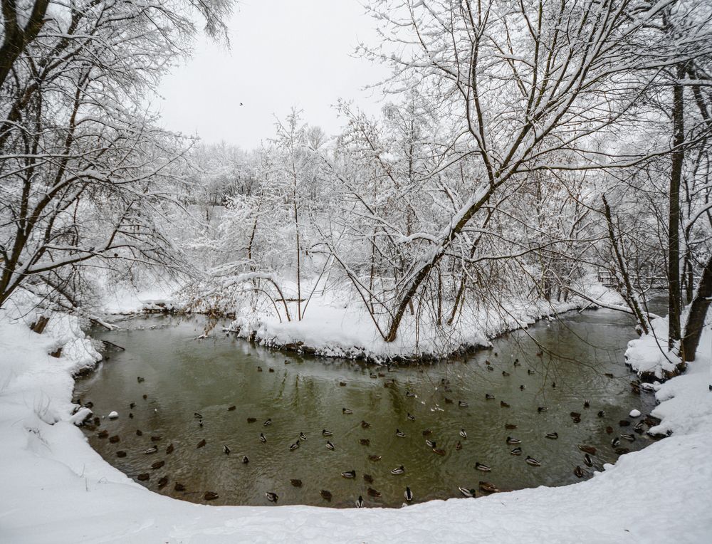 Река Сетунь