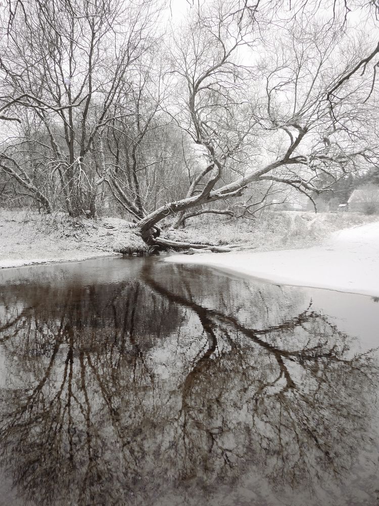Photograph by Ольга Еженевская