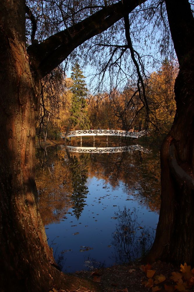 Photograph by Наталья Стальмакова