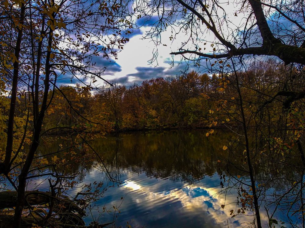 Photograph by Александра Голикова