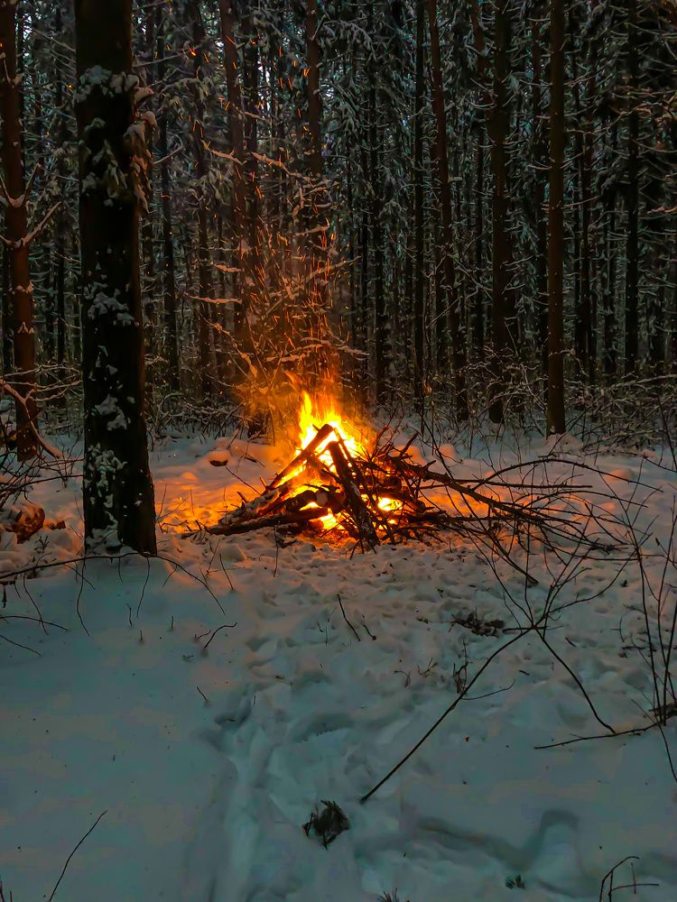 Photograph by Александра Голикова