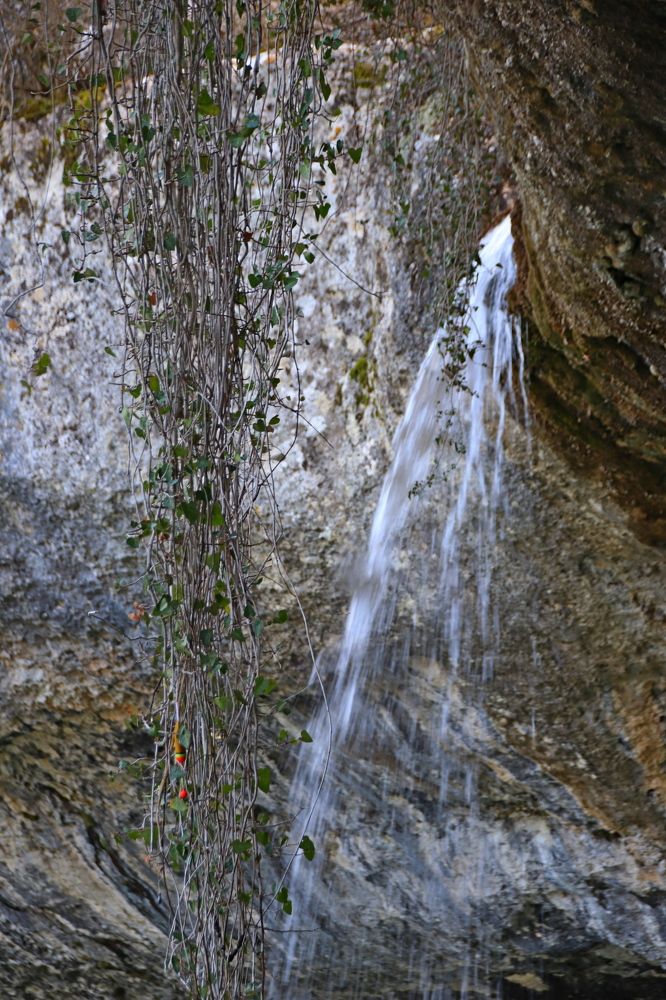 Photograph by Наталья Стальмакова