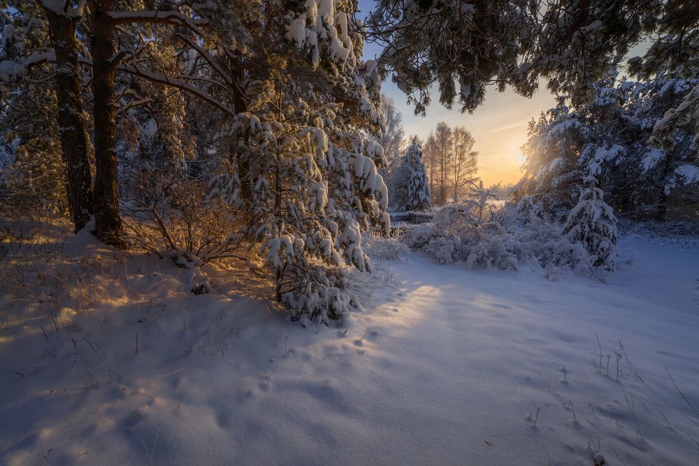 Photograph by Марина Мурашова