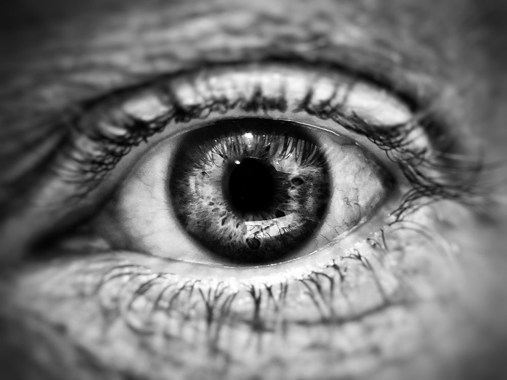 Фотография автора Роман Луночкин