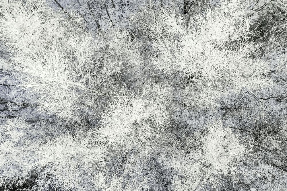 Photograph by Ernestas Balcikonis