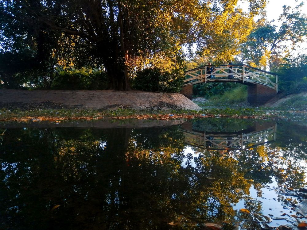 Photograph by ABDALLA Obada Abdelwahab