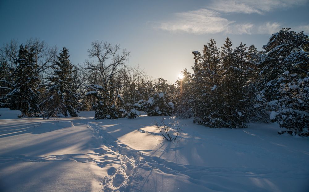 Dow\'s lake under the snow. Ottawa, Ontario, Canada