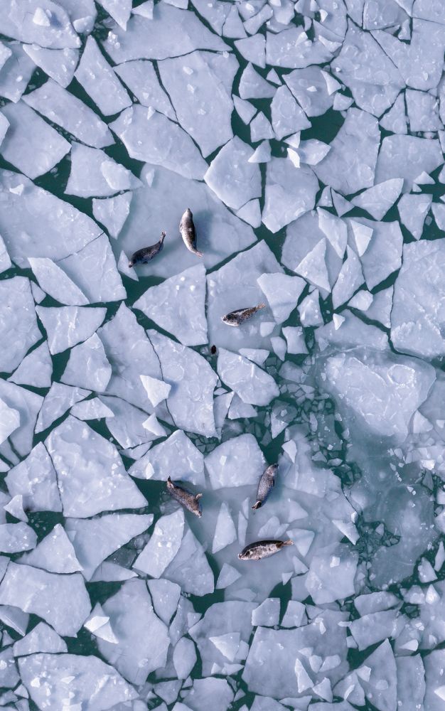 Photograph by Игорь Дудковский