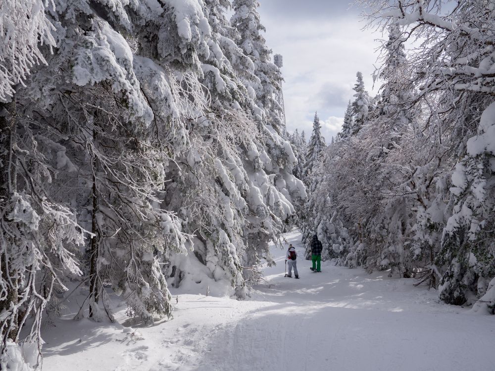 Snowshoe walk in Mont-Tremblant, Québec, Canada