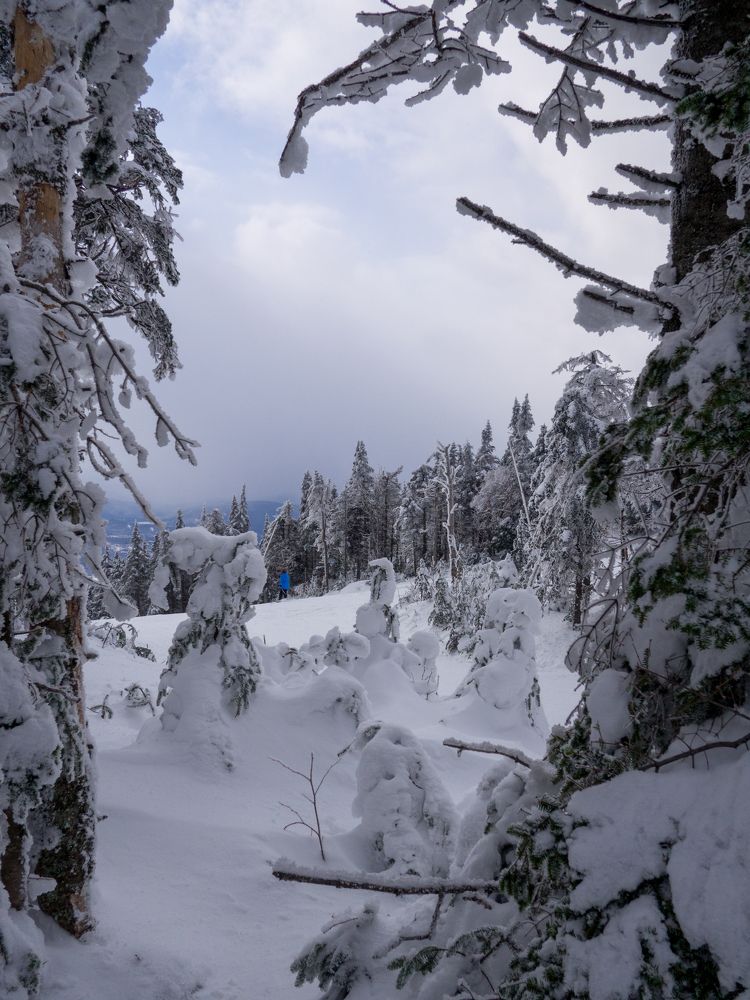 Fresh snow fall in Mont-Tremblant, Québec, Canada