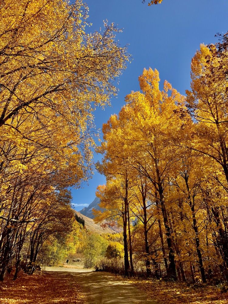 Photograph by Juli-sunny