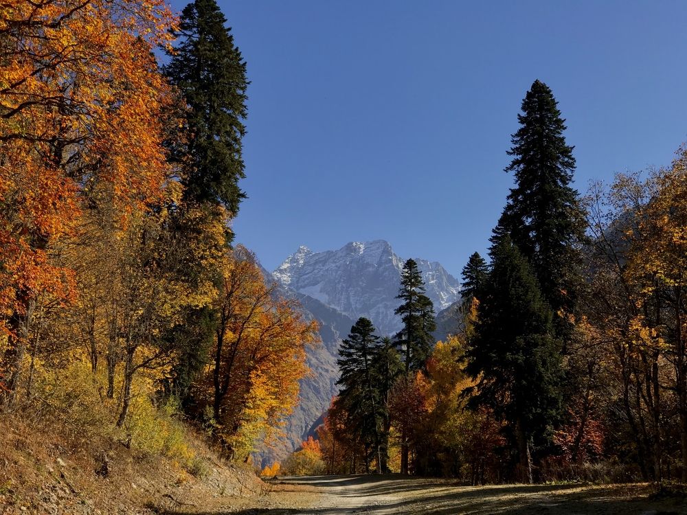 Домбайская осень