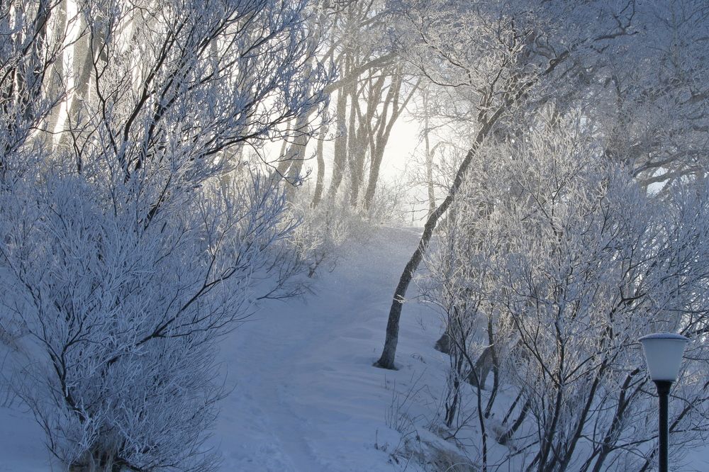 Photograph by Наталья Турчик