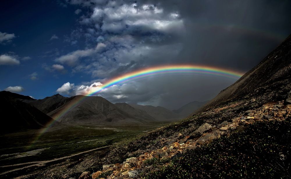 Photograph by Артур Мухаметов