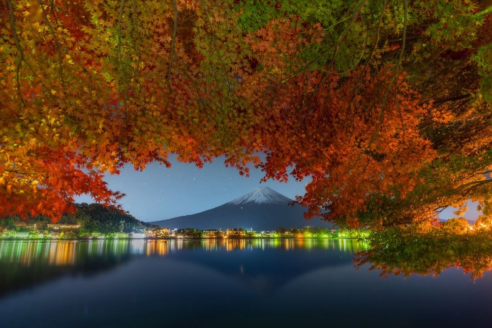 Фотография автора Lương Quyền