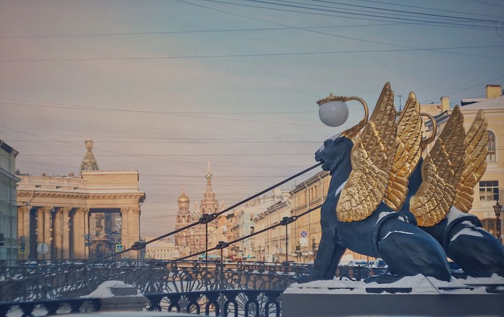 Фотография автора Viktoriya Shamanova