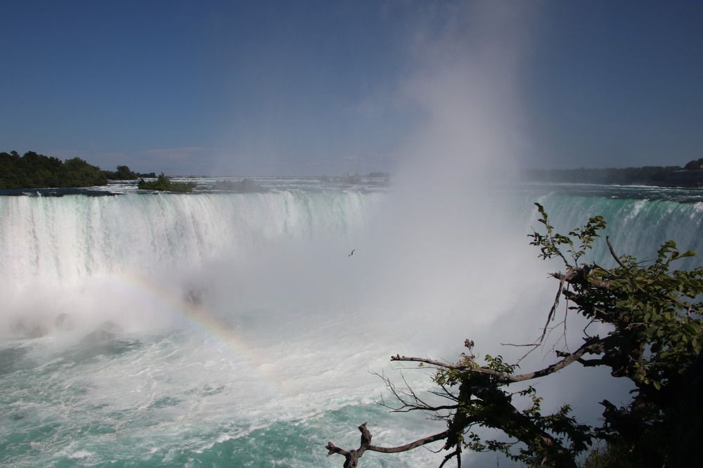 Photograph by Patricia Delionardis