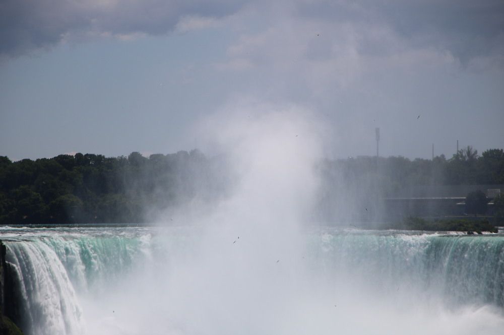 Photograph by Patricia Delionardis