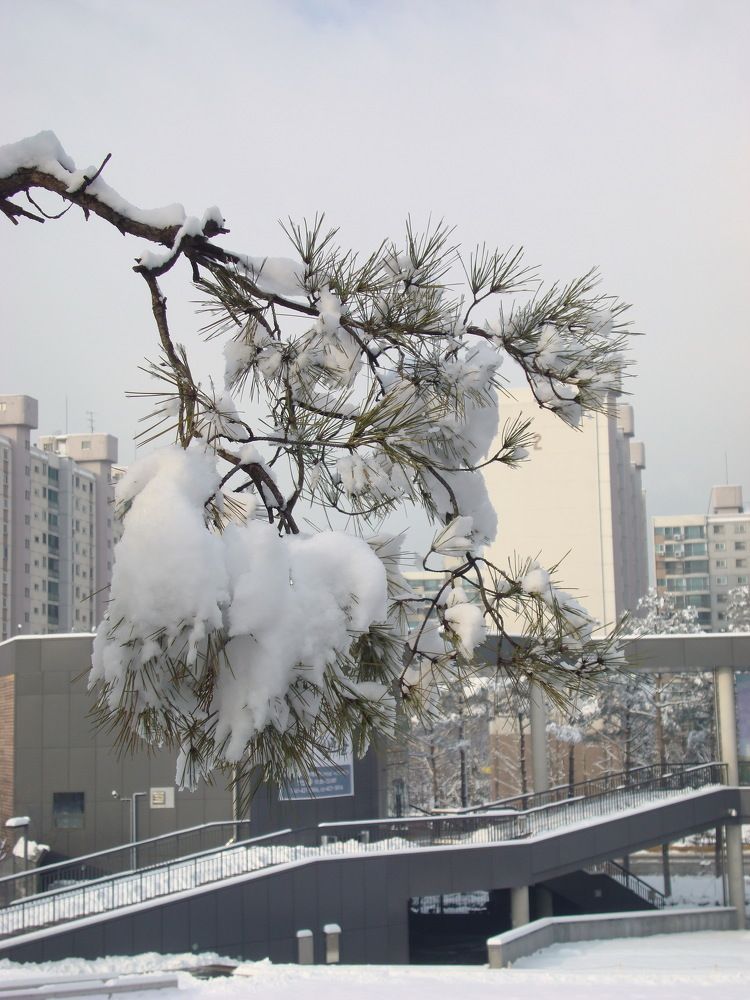 Фотография автора АЛЕКСАНДР ЦЫГЕЛЬНЮК