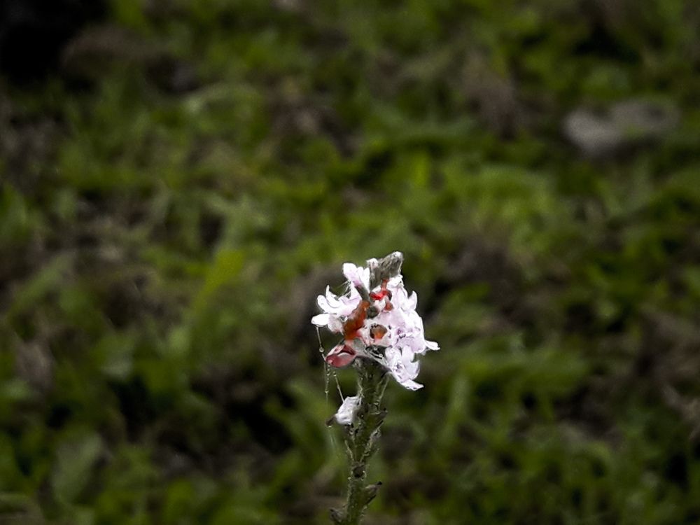 Photo #6925662
