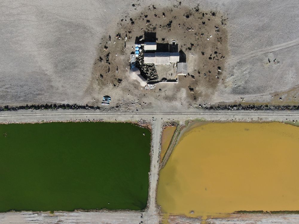 Photograph by Gaston Brito