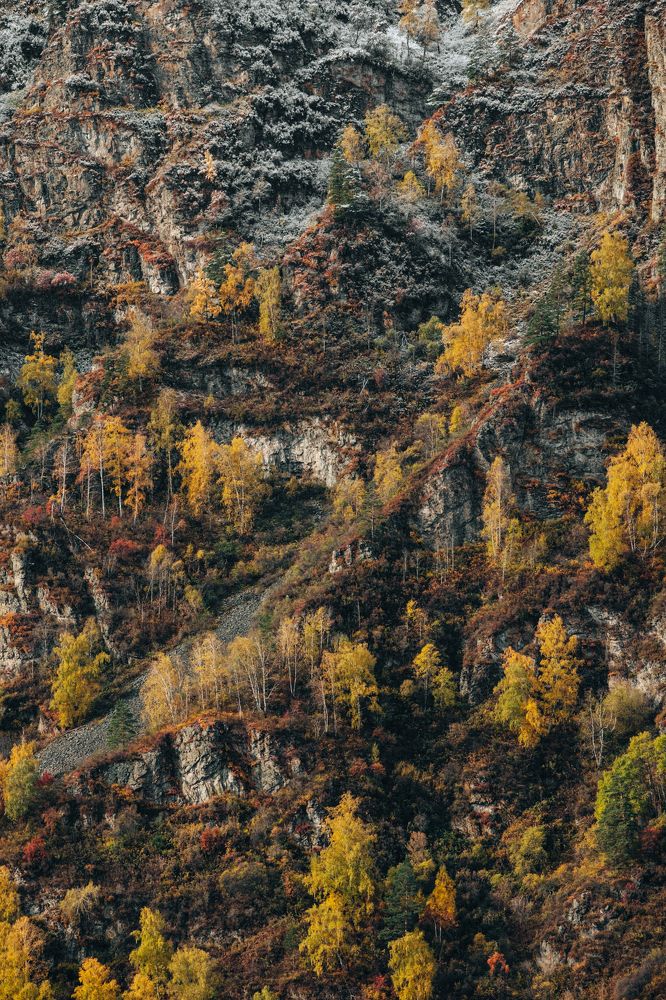 Photograph by Дмитрий Сергеев