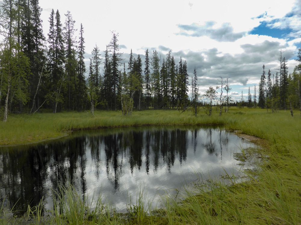 Photograph by Алексей Логинов