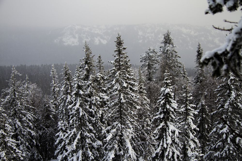 Photograph by Anton Gaev