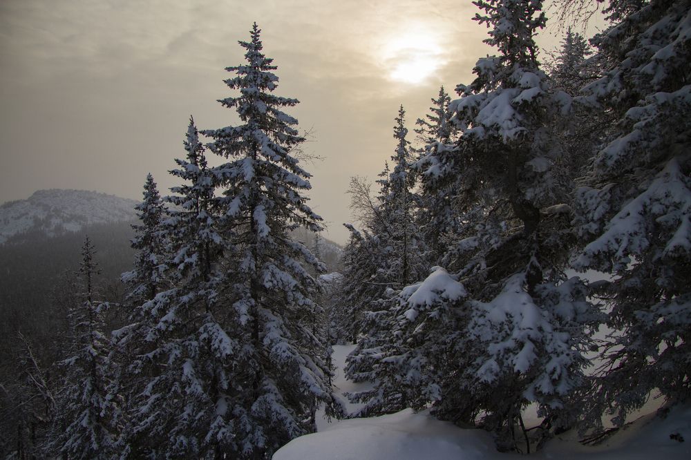 Photograph by Anton Gaev