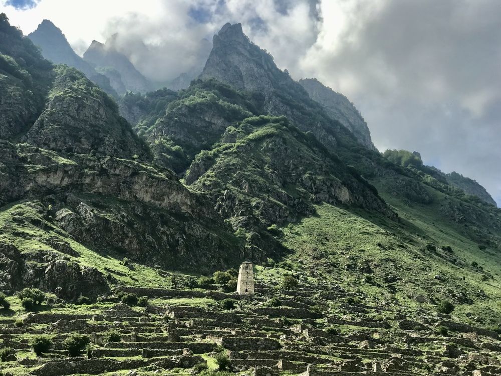 Photograph by Juli-sunny