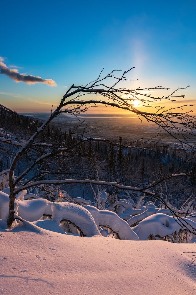 Photograph by Владимир Новиков