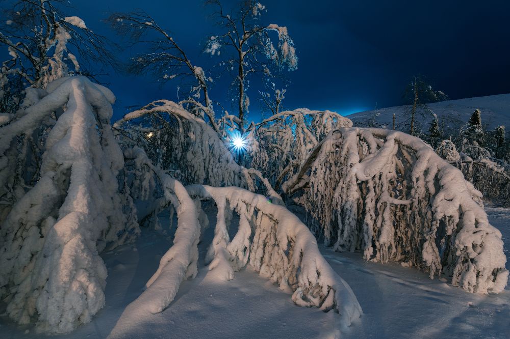 Photograph by Владимир Новиков