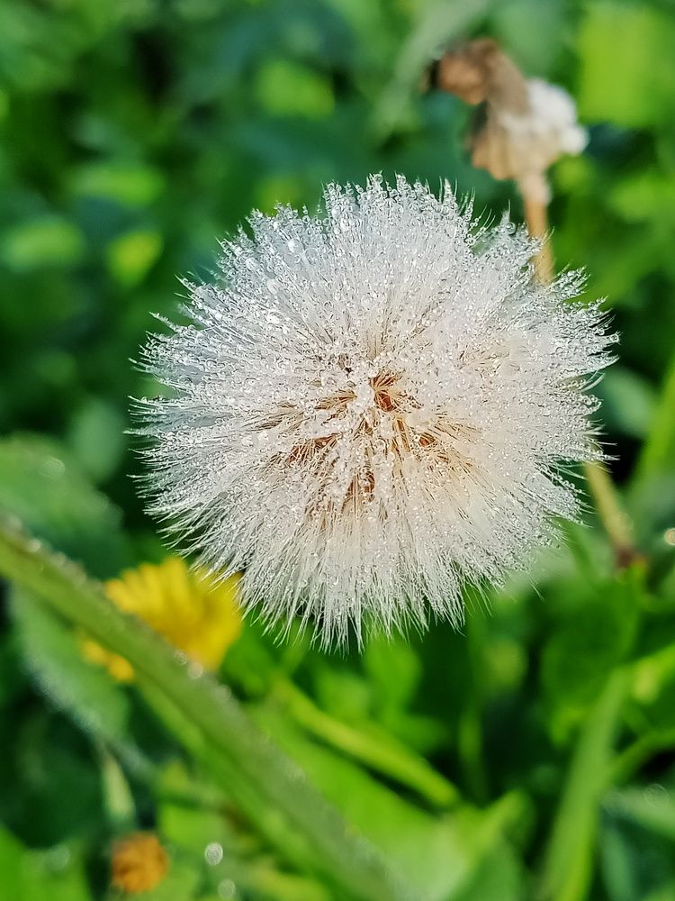 Photograph by Zahra Omar