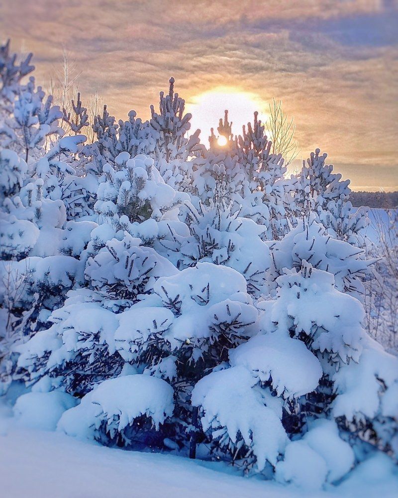 Photograph by Люда Яковлева