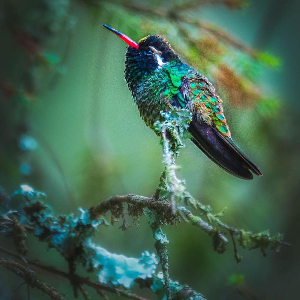 Photograph by Mariana Rodriguez Barrera