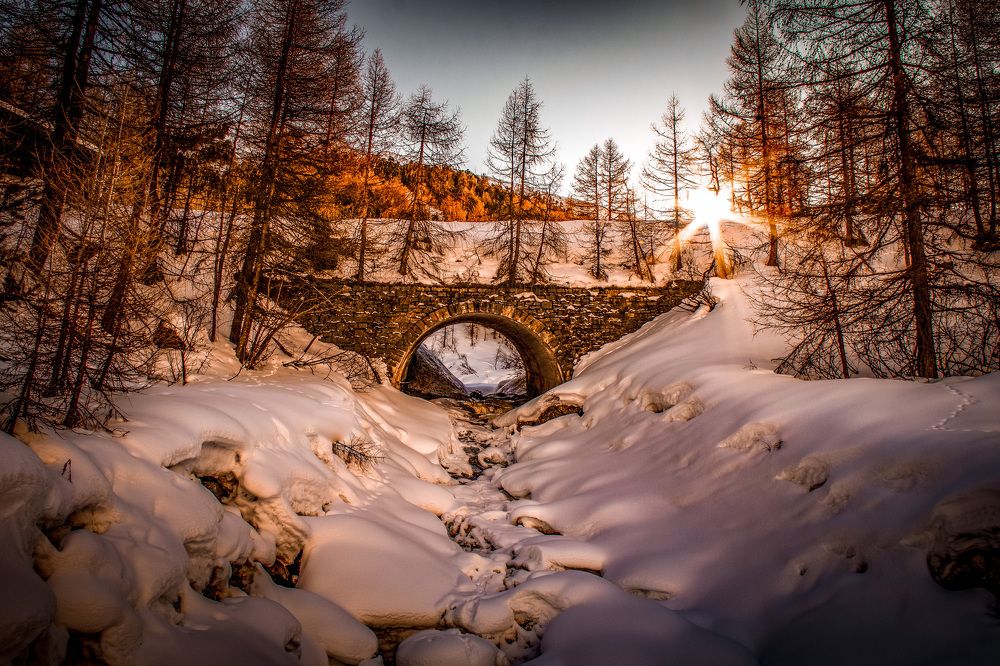 Photograph by Cynthia Elen