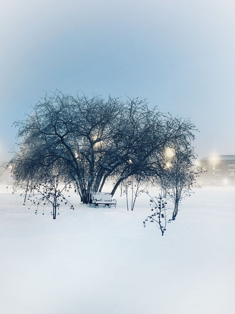 Photograph by Андрей