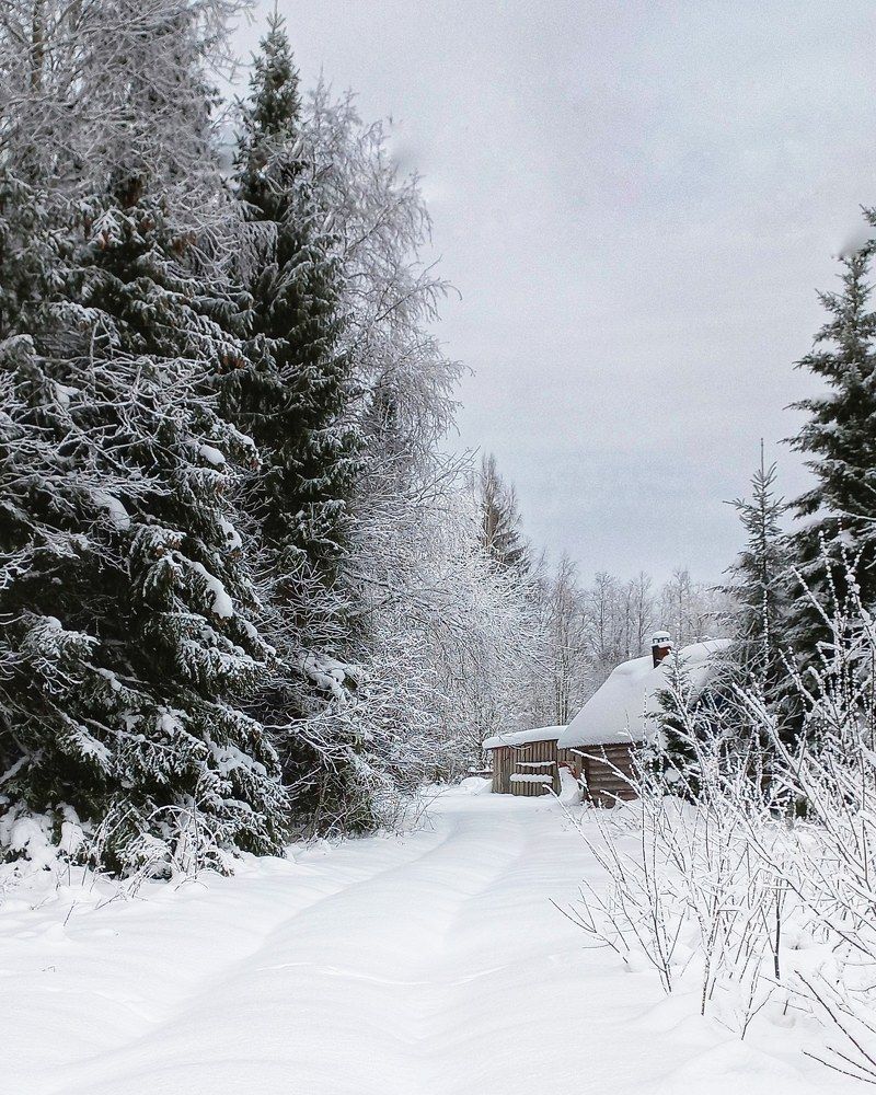 Photograph by Люда Яковлева