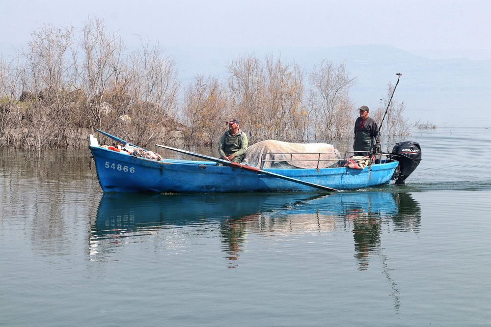 Photograph by Drora Baharal