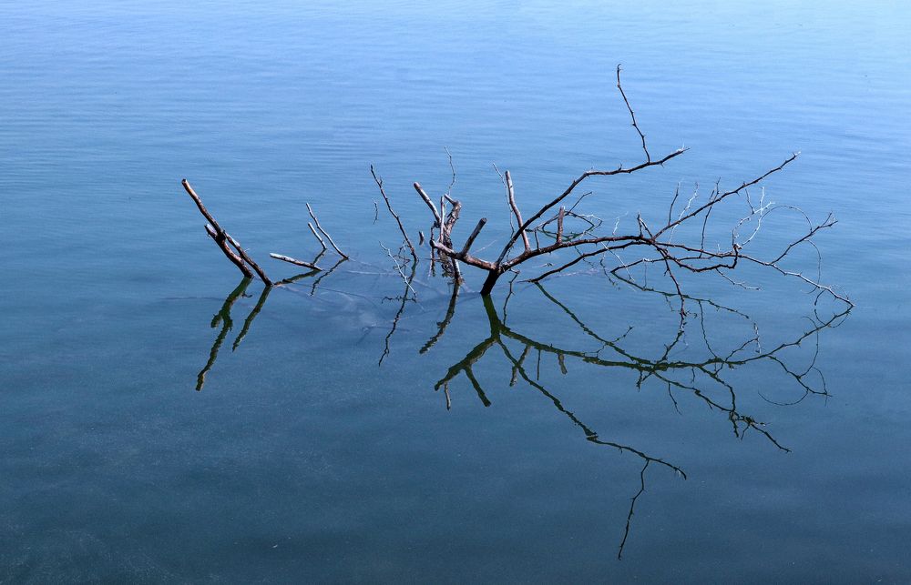 Photograph by Drora Baharal